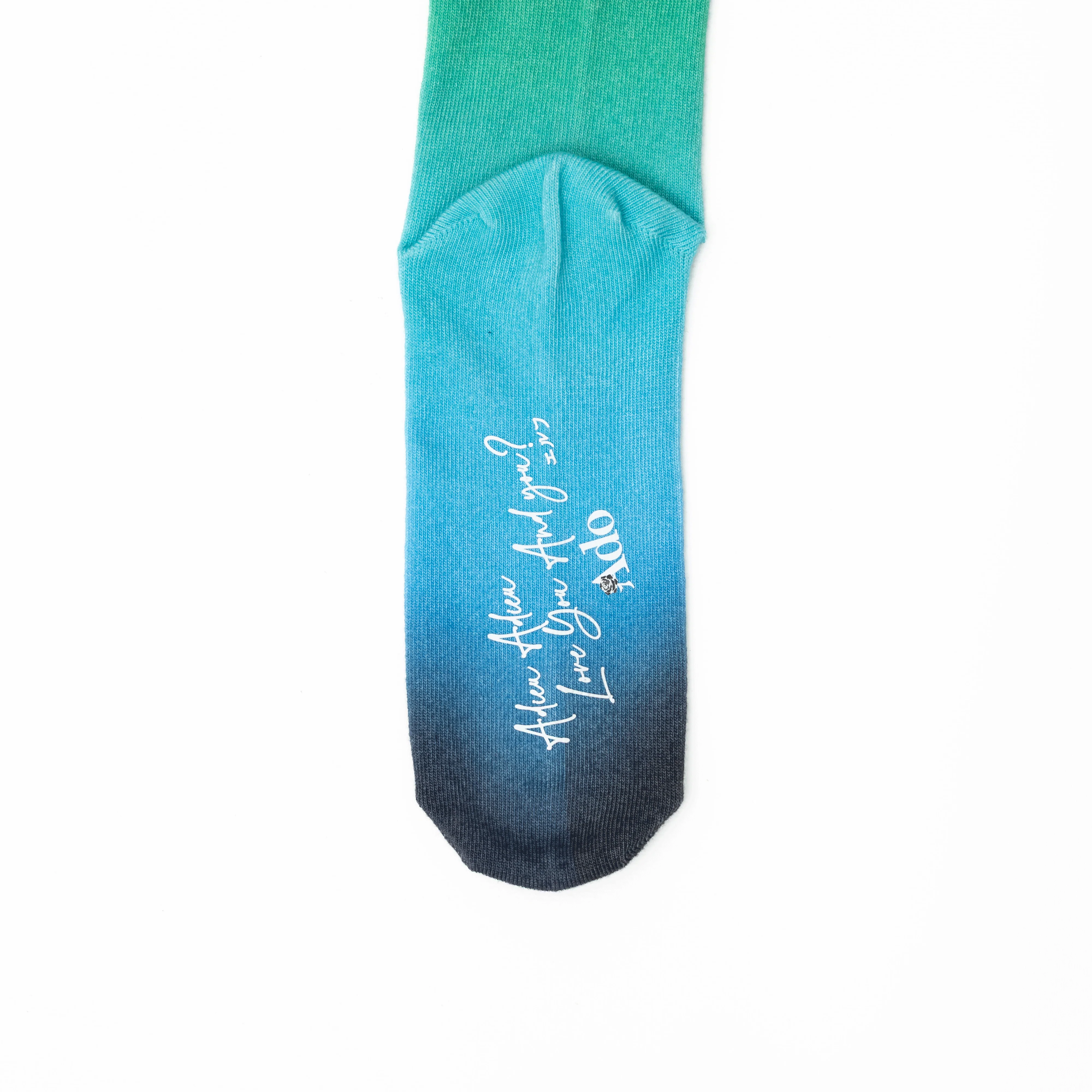 ＜2nd Sale＞ Socks (elf) [GOODS] - Image 4